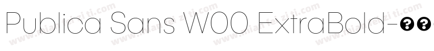 Publica Sans W00 ExtraBold字体转换